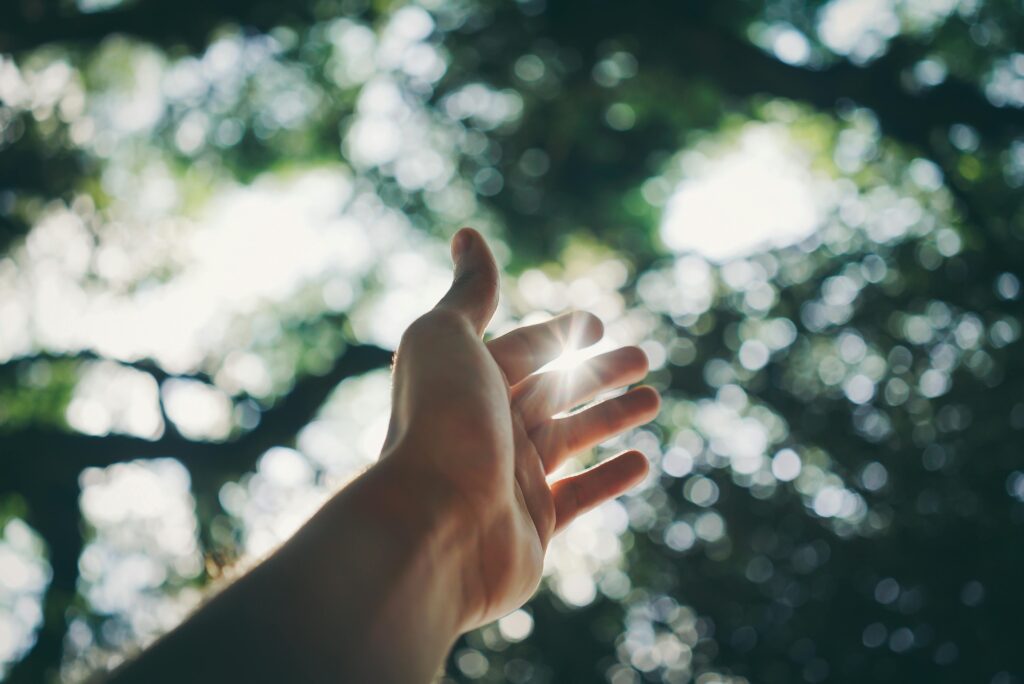 Mano entre rayos de luz solar, buscando alcanzar la luz